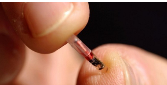 可穿戴设备呈“拉链入侵”趋势,正“由表及里”进军人体